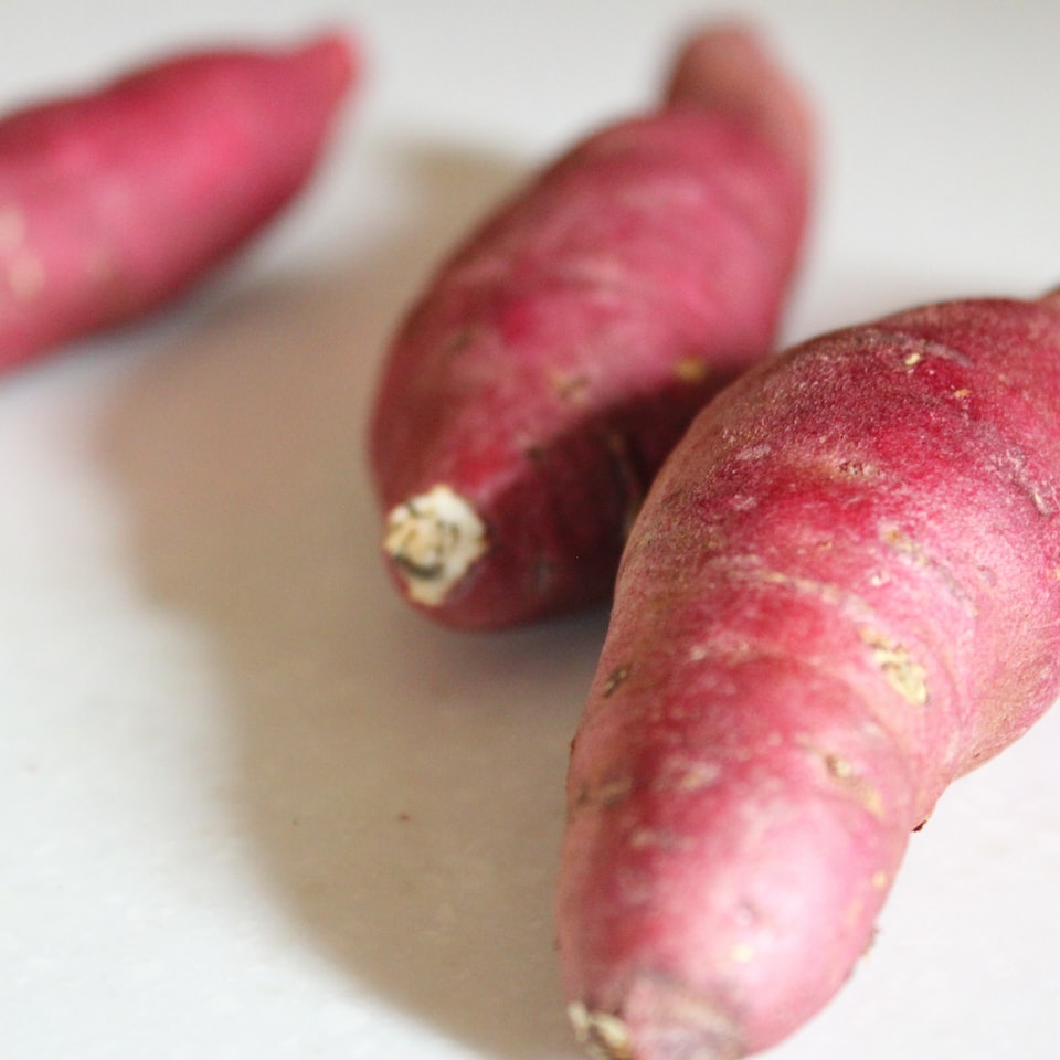 Potato