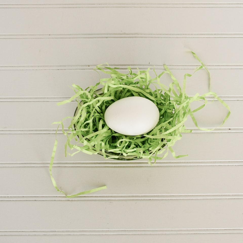 Tomato Blender Egg