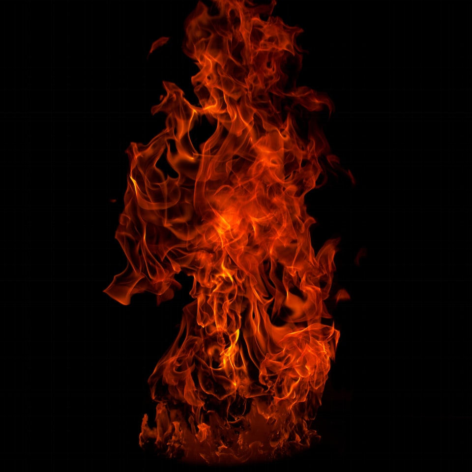 Fire Violet