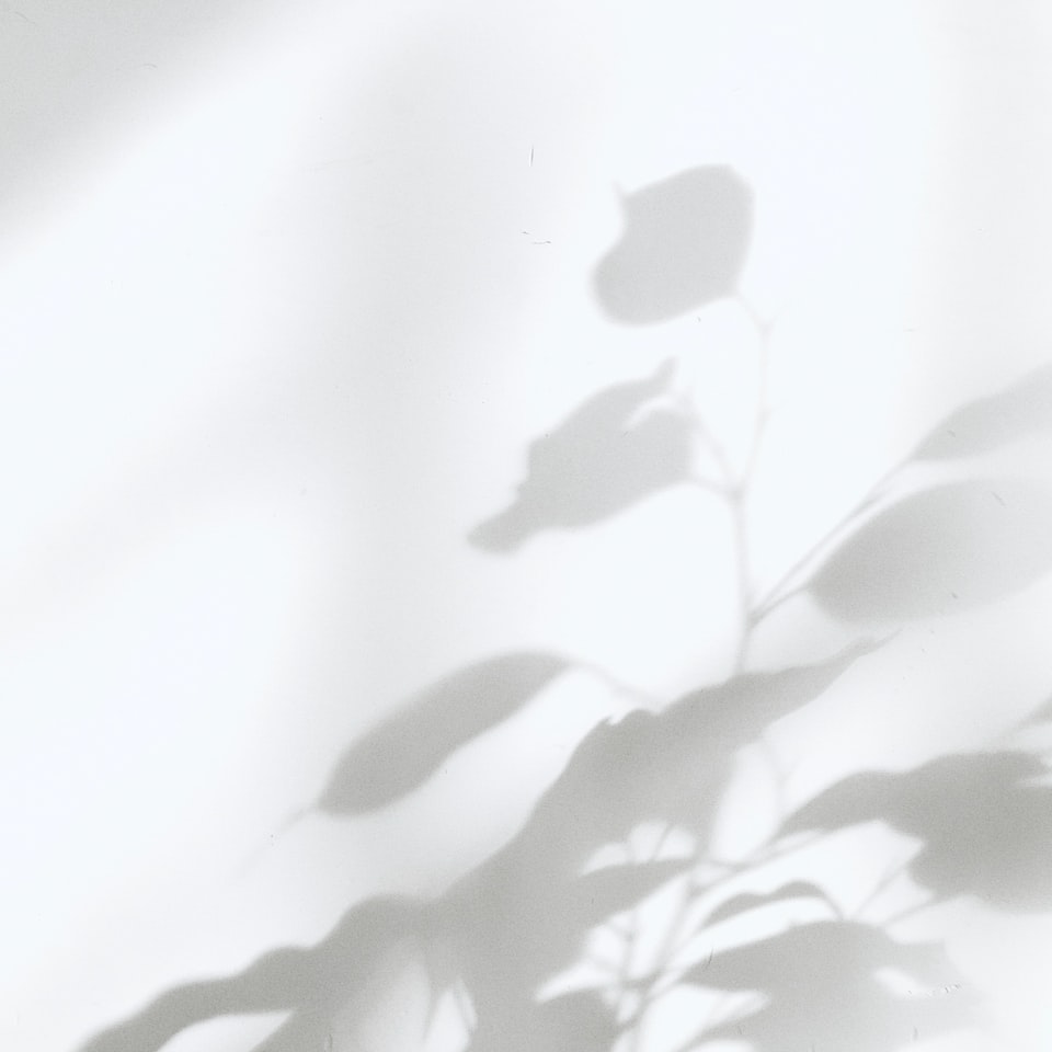White Book