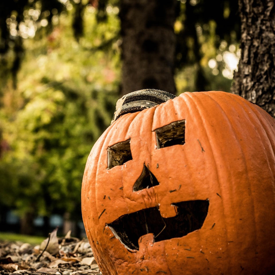 Pumpkin Small Ring