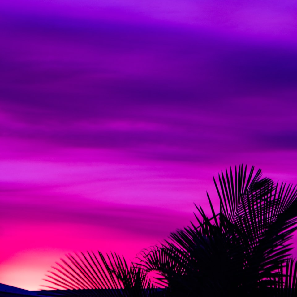 Purple Table Fire Heater