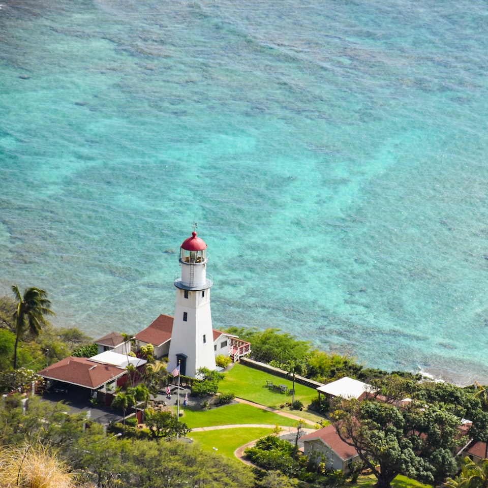 Diamond Bikini Apple