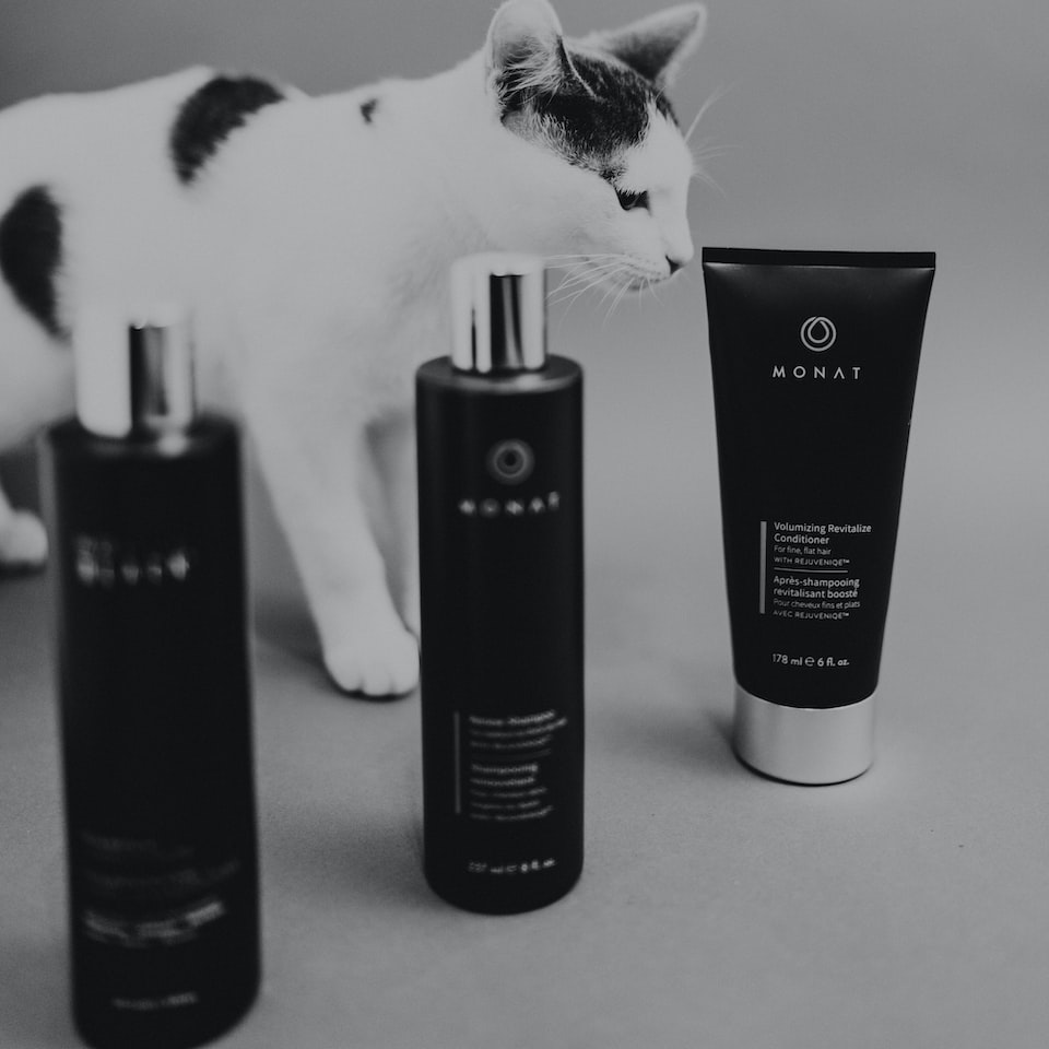 HDMI ACME Shampoo