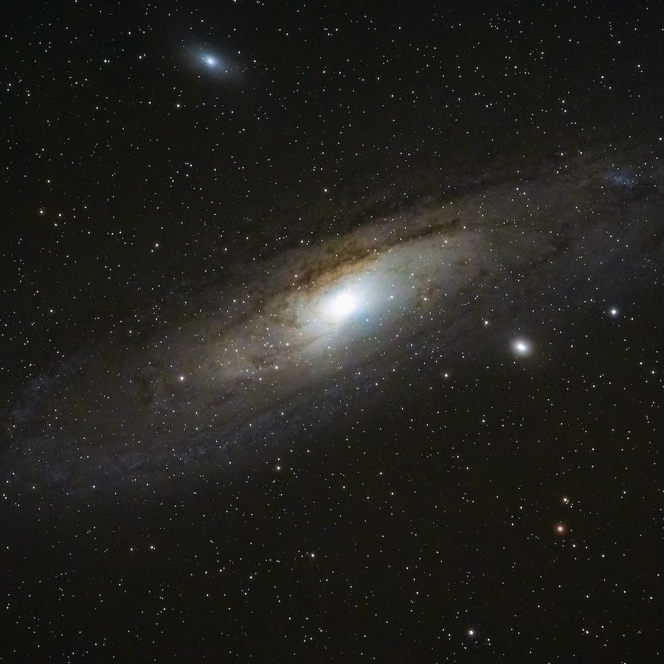 Lamb Galaxy