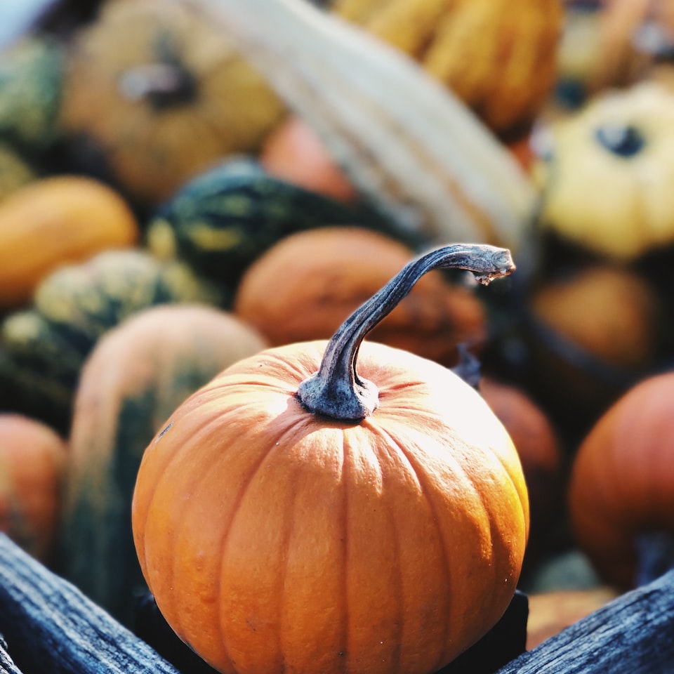 Internet Mixer Pumpkin
