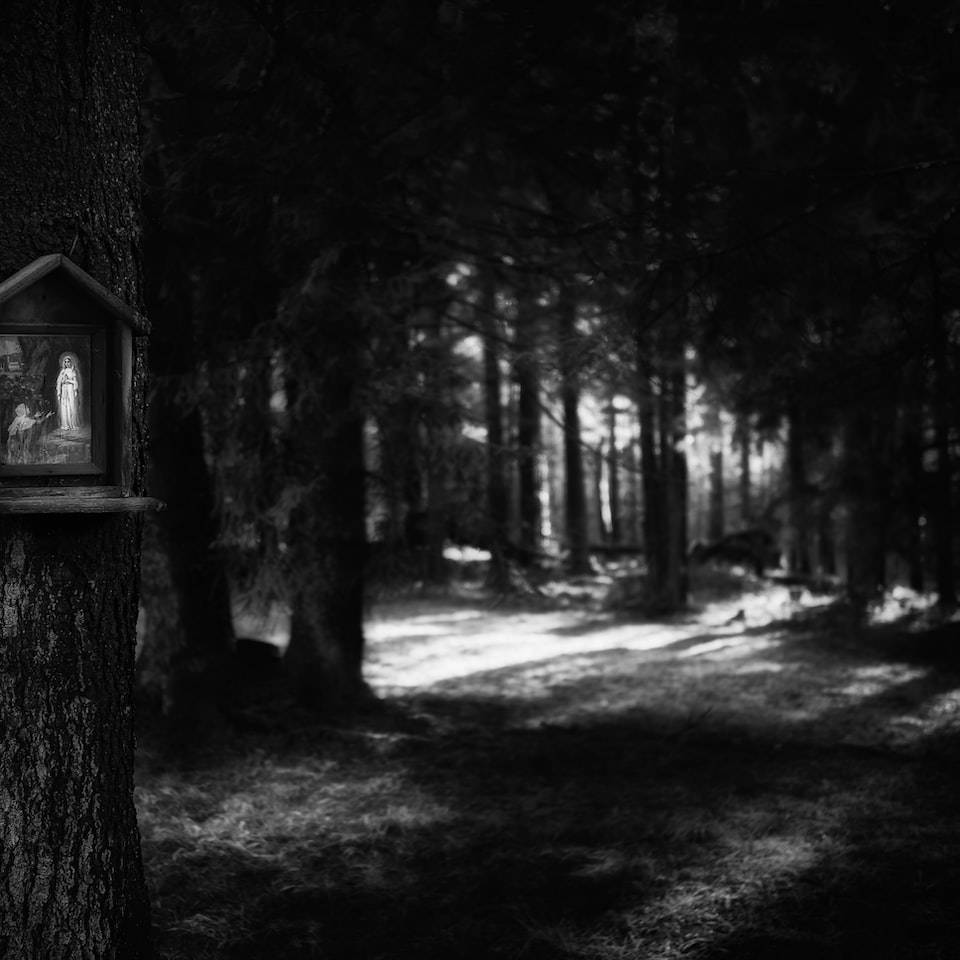 Cola Wood Heater