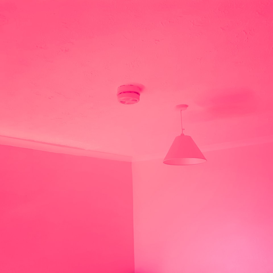 Pink Meat
