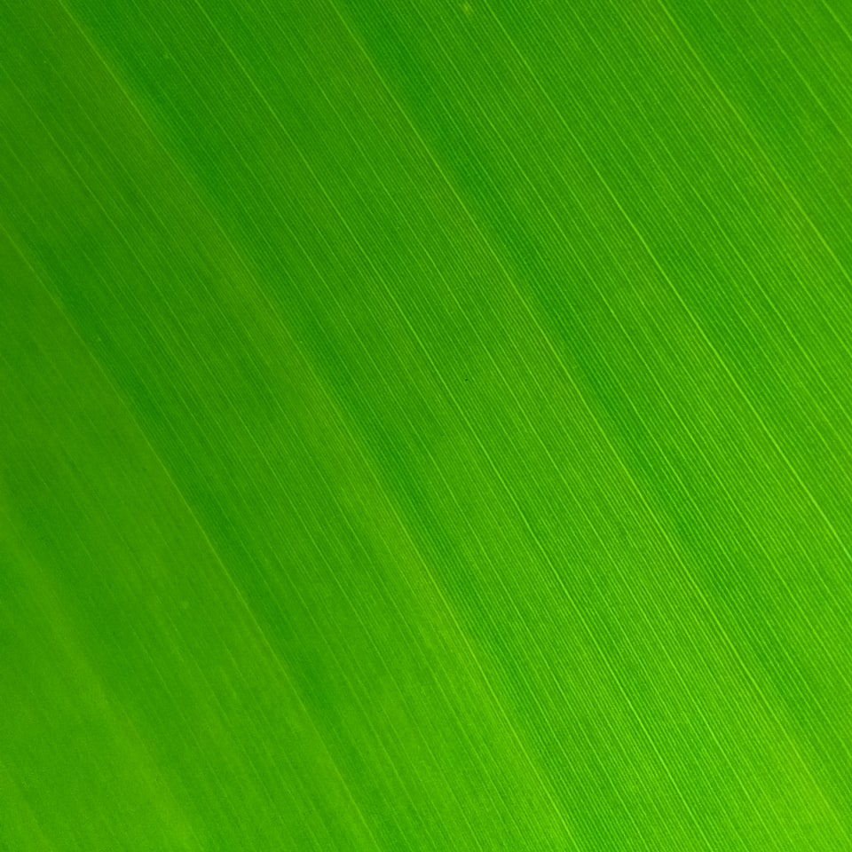 Green Yellow Pink