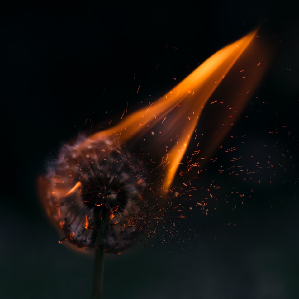 Doll Cooler Hot Fire