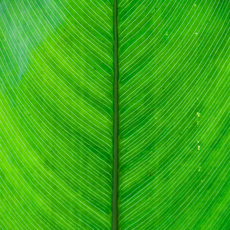 Heater Red Green