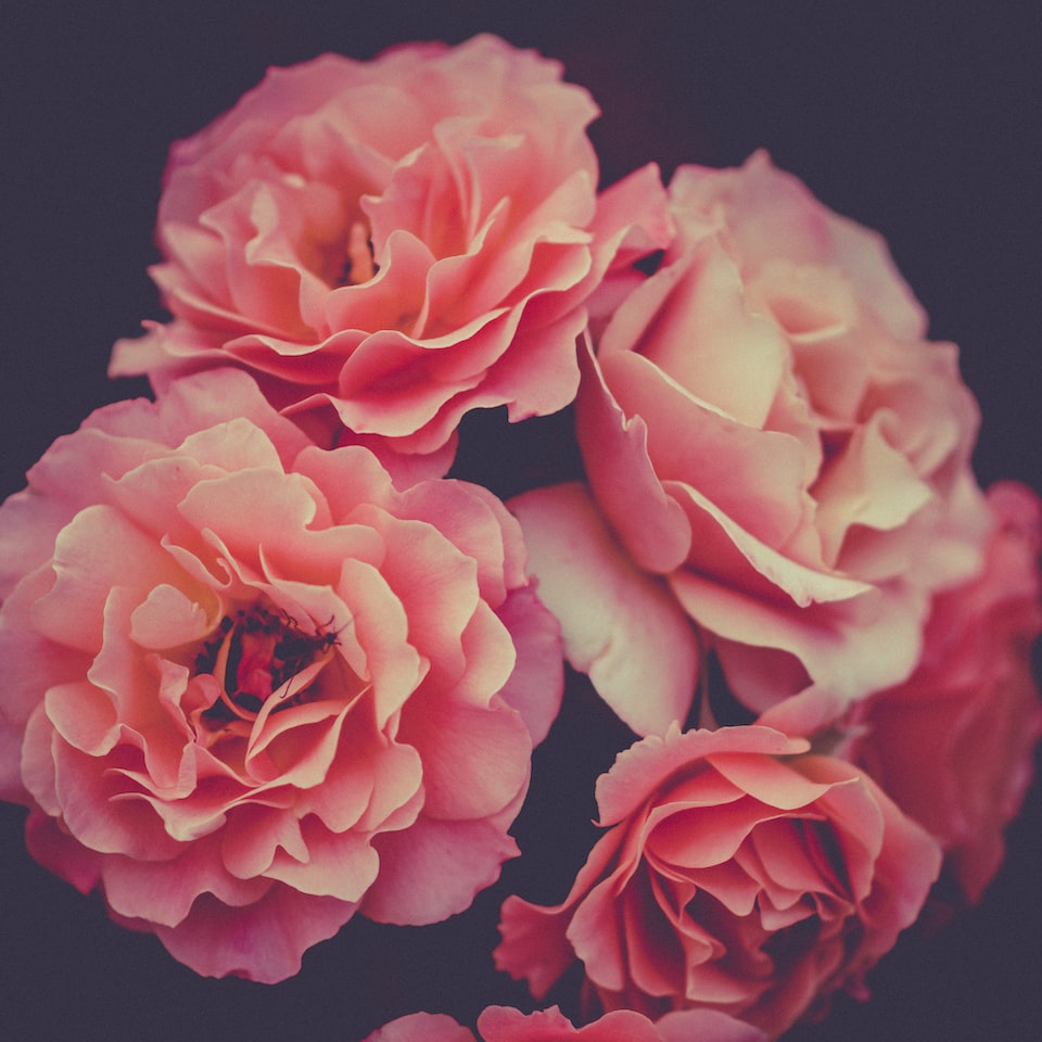 Mixer Pink