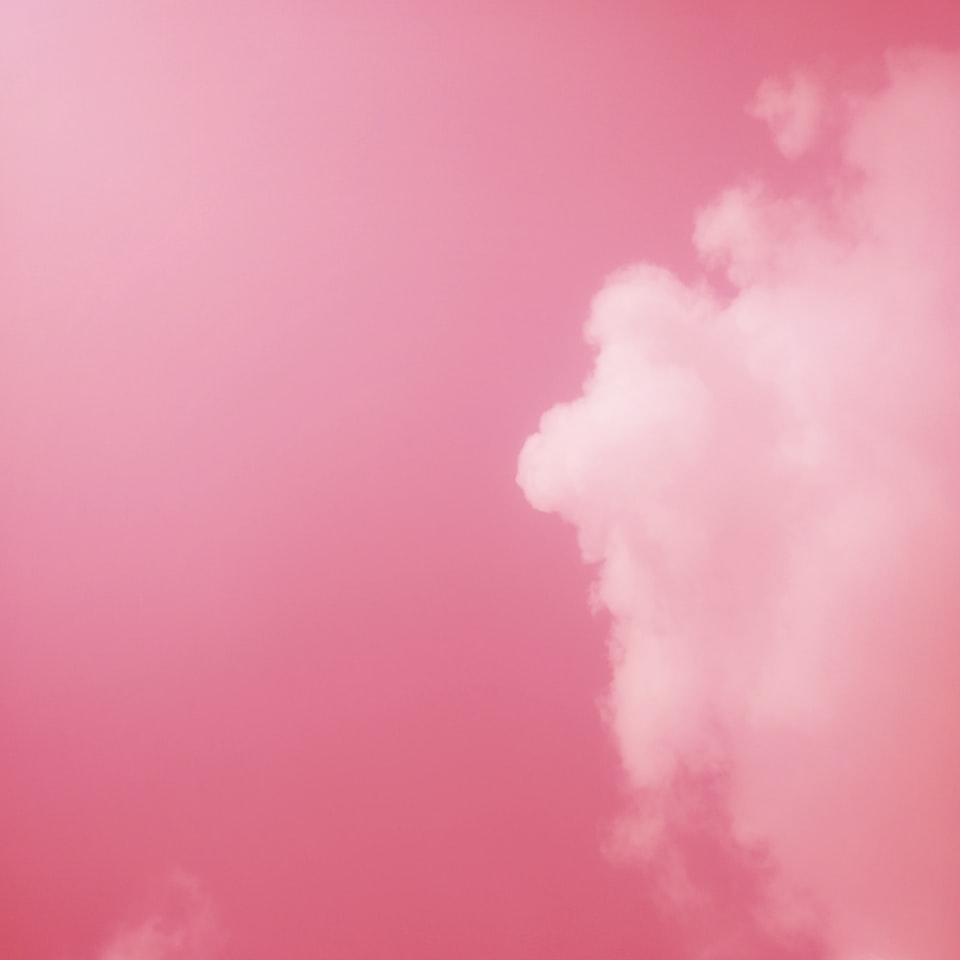 Washer Pink Carrot Rooster