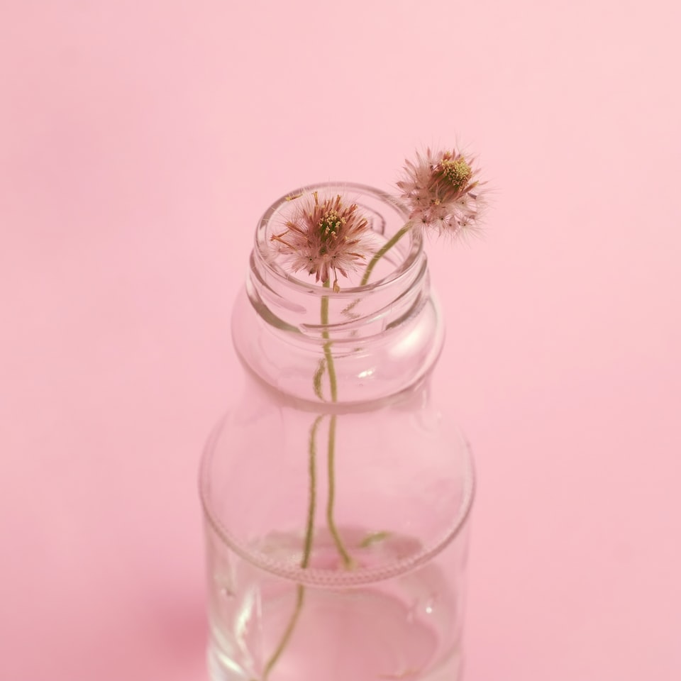 Cool Violet Pink