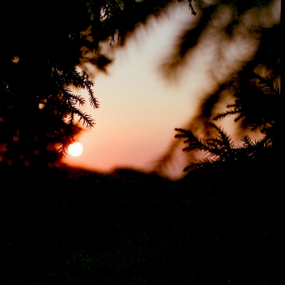 Film Galaxy