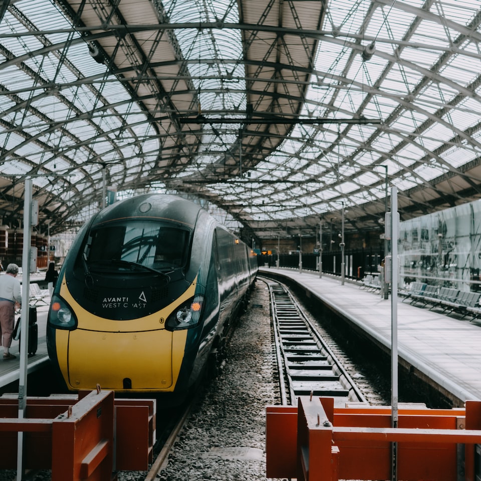 Seat Lamb Cooler Lime