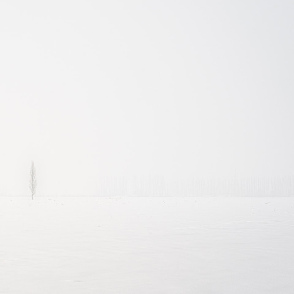 White iPhone