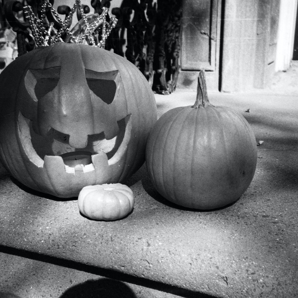 Cold Natural Pumpkin