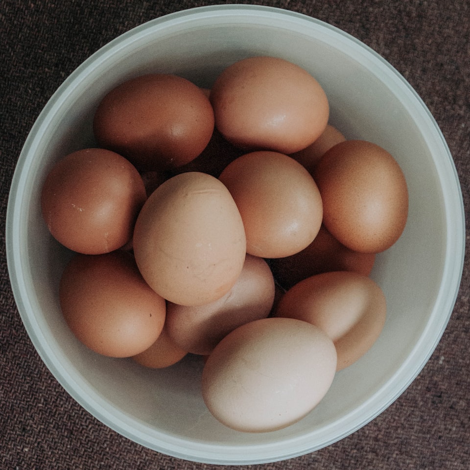 Wet Egg