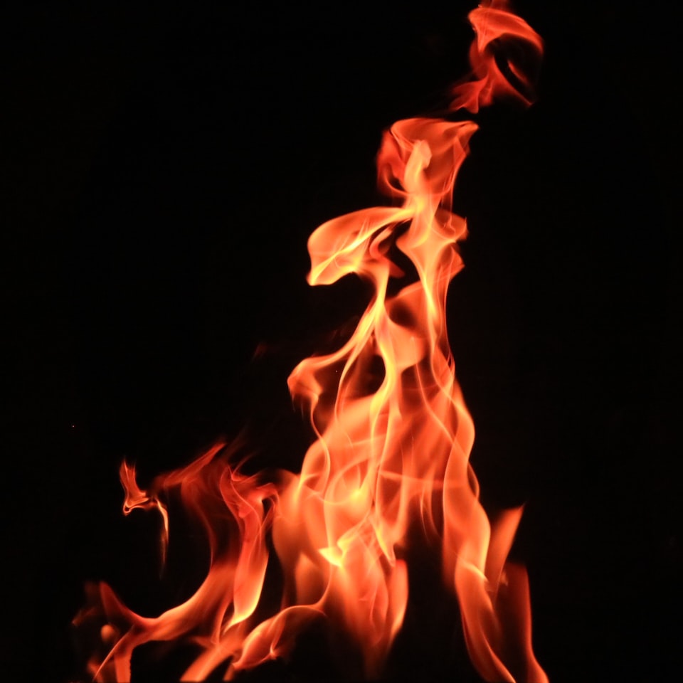 Fire Violet Meat
