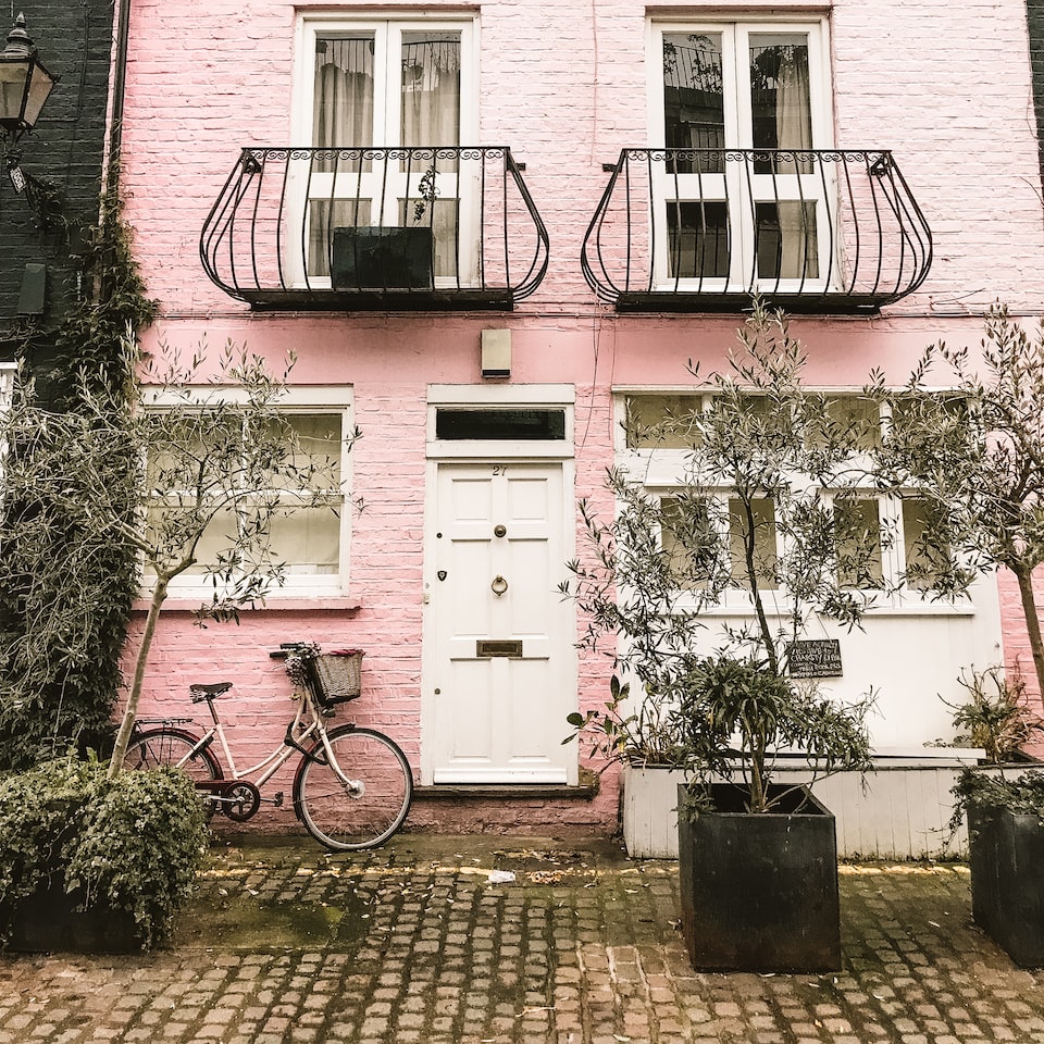 Pink Violet