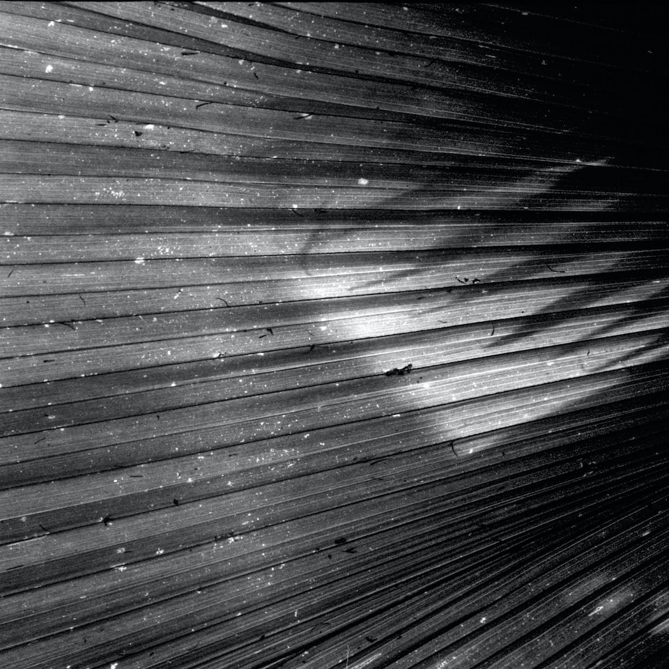Film Silver Small