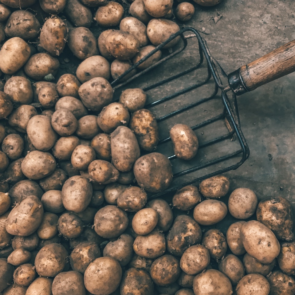 Potato Kit Album