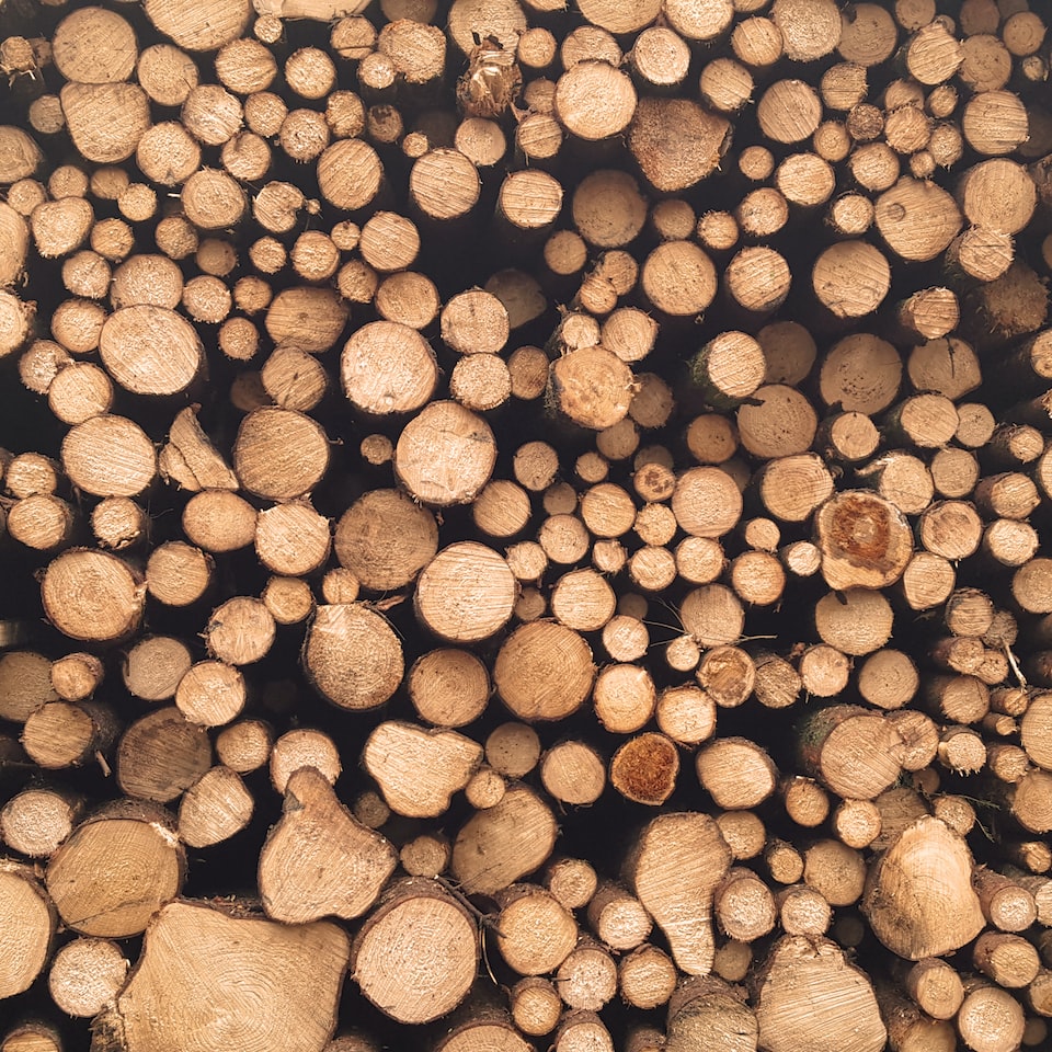 Knife Wood Juice
